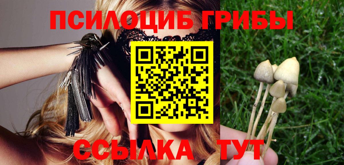 Галлюциногенные грибы Magic Shrooms Волгоград