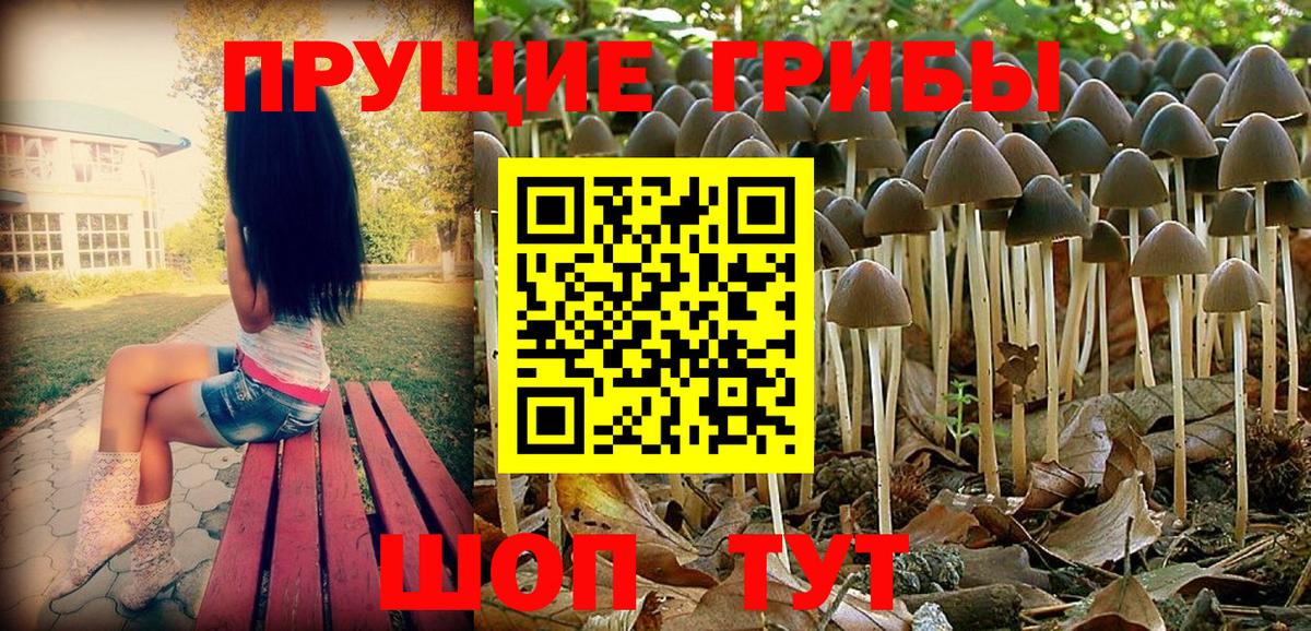 Галлюциногенные грибы GOLDEN TEACHER  Вход с VPN  Волгоград 